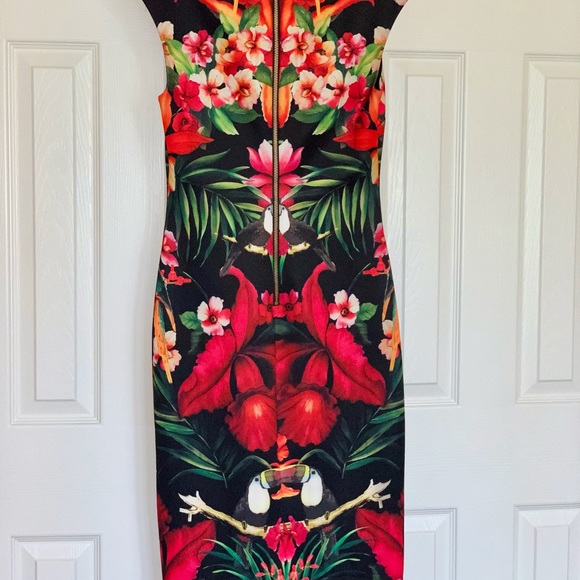 TED BAKER, London Toucan' Print Sheath Dress - Picture 4 of 5